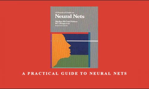 A Practical Guide to Neural Nets by Marilyn McCord, W.T.Illingworth