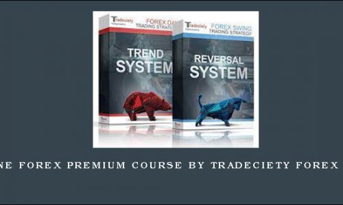 All In One Forex Premium Course by Tradeciety Forex Training