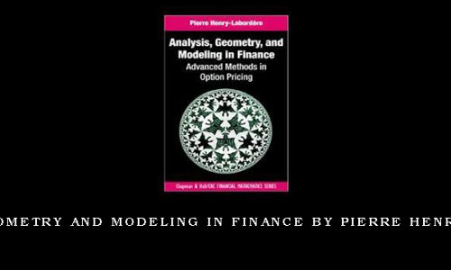 Analysis, Geometry and Modeling in Finance by Pierre Henry-Labordere