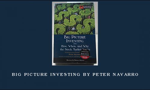 Big Picture Investing by Peter Navarro