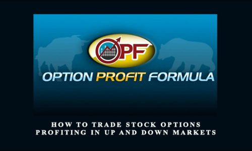 How to Trade Stock Options – Profiting in Up and Down Markets by Travis Wilkerson