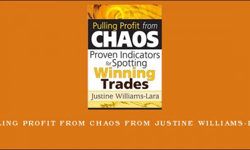 Pulling Profit from Chaos from Justine Williams-lara