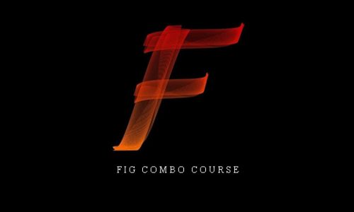 Fig Combo Course