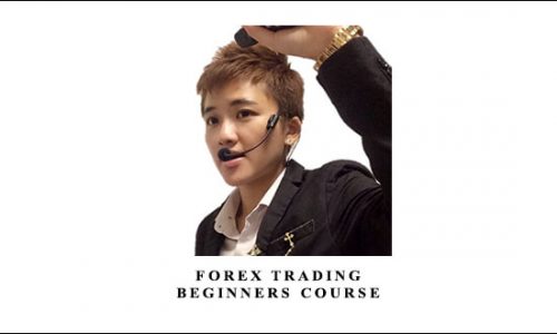Forex Trading – Beginners Course by Karen Foo