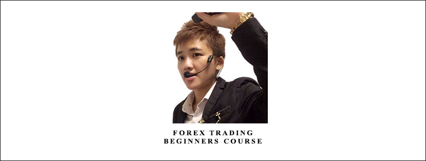 Forex Trading – Beginners Course by Karen Foo