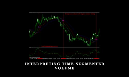 Interpreting Time Segmented Volume by Peter Worden