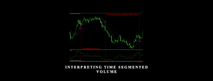 Interpreting Time Segmented Volume