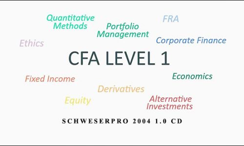 SchweserPro 2004 1.0 CD by CFA Level 1