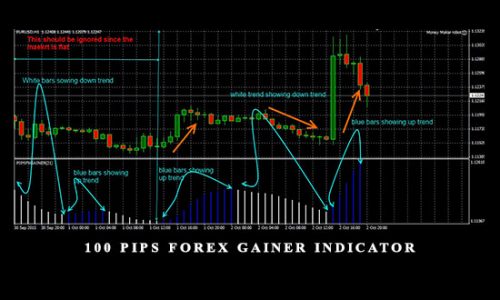 100 Pips Forex Gainer Indicator