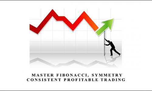 Daytradingzones – Master Fibonacci, Symmetry & Consistent Profitable Trading