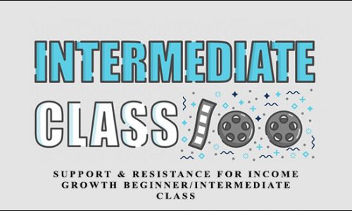 Daytradingzones – Support & Resistance For Income & Growth Beginner/Intermediate Class