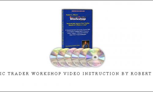 Dynamic trader workshop video instruction by Robert Miners