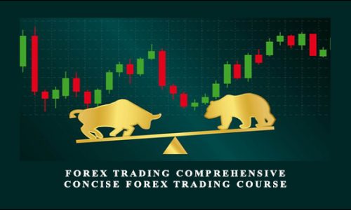 Forex TRading Comprehensive & Concise Forex Trading Course