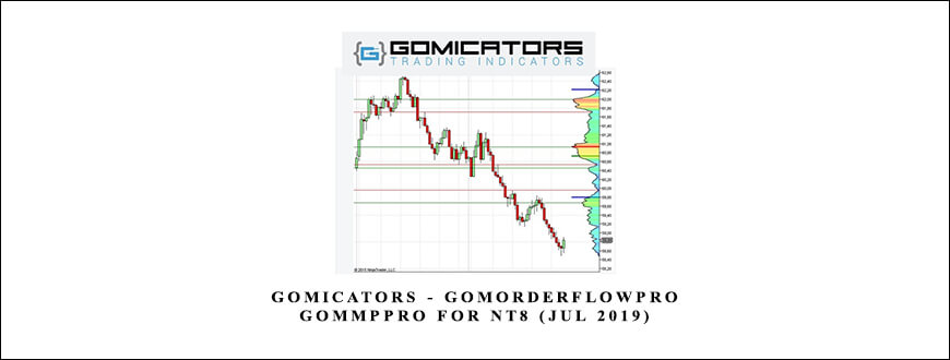 Gomicators GomOrderFlowPro & GomMPPro for NT8