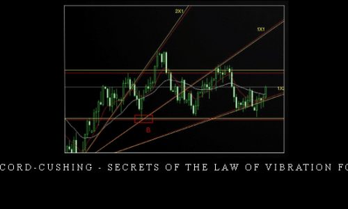 Neall Concord-Cushing – Secrets of the Law of Vibration for Traders