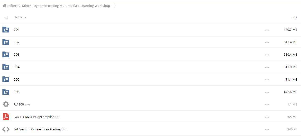 Dynamic Trading Multimedia E-Learning Workshop by Robert C. Miner