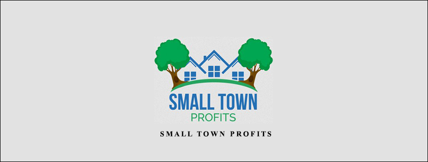 Small Town Profits by Larry Goins