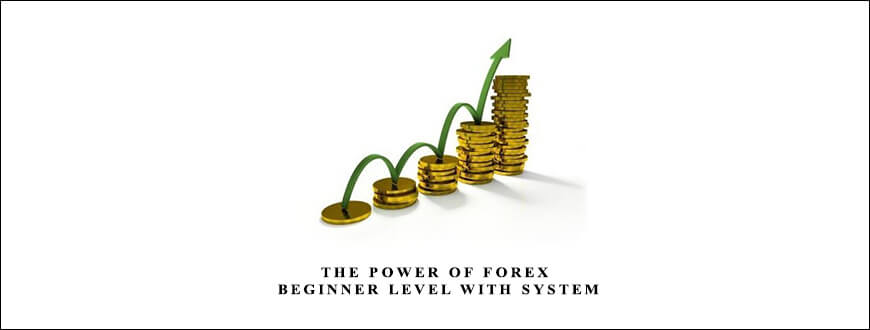 The Power Of Forex Beginner Level with System