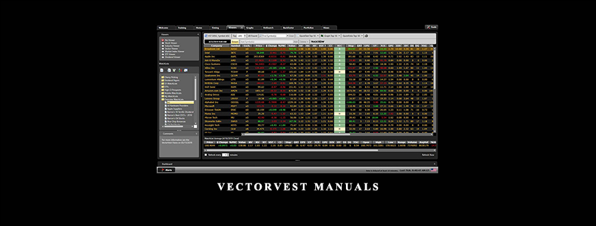 VectorVest Manuals