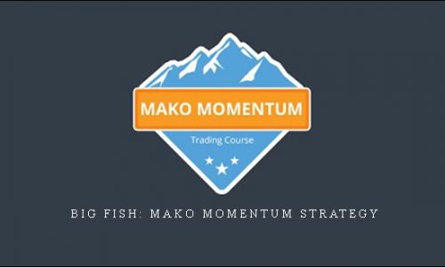Big Fish: Mako Momentum Strategy