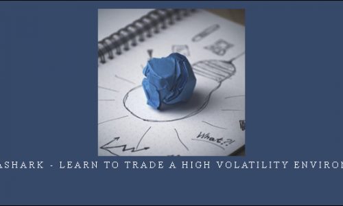Alphashark – Learn to Trade a High Volatility Environment