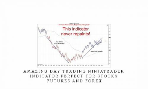 Amazing Day Trading Ninjatrader Indicator Perfect For Stocks, Futures And Forex