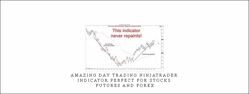 Amazing Day Trading Ninjatrader Indicator Perfect For Stocks, Futures And Forex