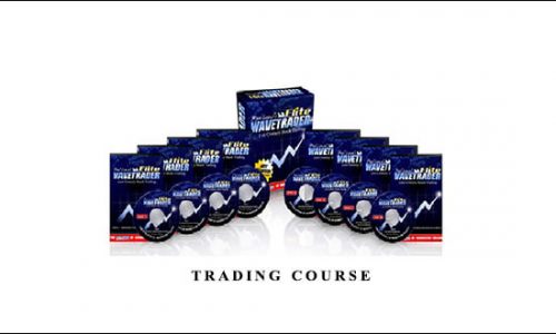 Bonsai Elite Wavetrader Trading Course