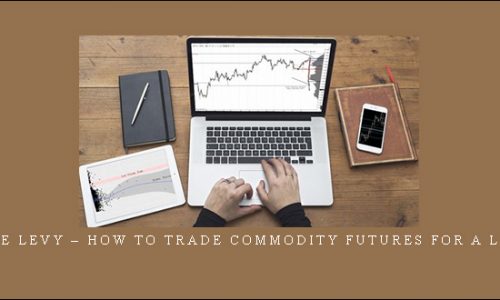 Bruce Levy – How To Trade Commodity Futures for a Living