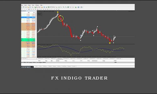 Fx Indigo Trader