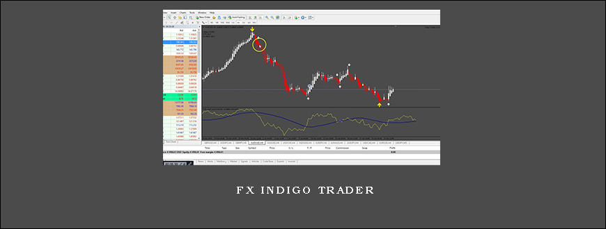 Fx Indigo Trader