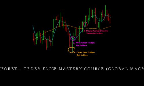 Orderflowforex – Order Flow Mastery Course (Global Macro Trading)