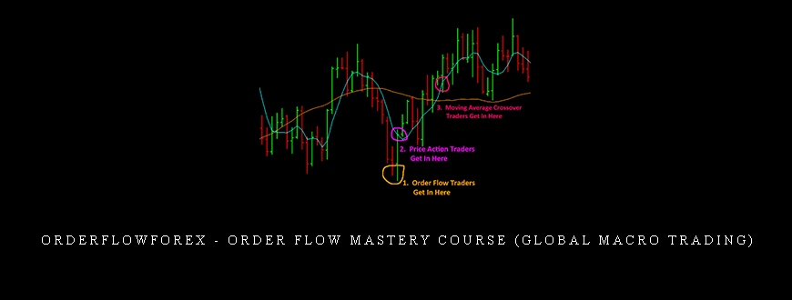 Orderflowforex – Order Flow Mastery Course (Global Macro Trading)