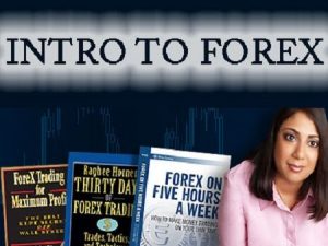 Raghee Horner - Intro to Forex [25 Videos (SWF) + 5 Misc (HTML)]