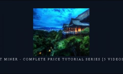 Robert Miner – Complete Price Tutorial Series [5 Videos (AVI)]