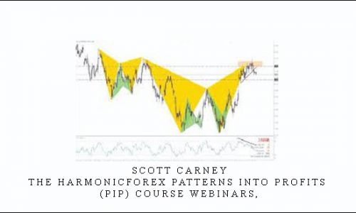 Scott Carney – The HarmonicForex Patterns into Profits (PIP) Course Webinars,