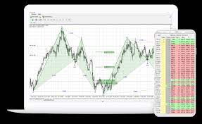 Scott Carney - The HarmonicForex Patterns into Profits (PIP) Course Webinars,