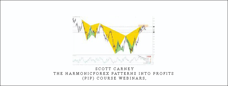 Scott Carney – The HarmonicForex Patterns into Profits (PIP) Course Webinars,