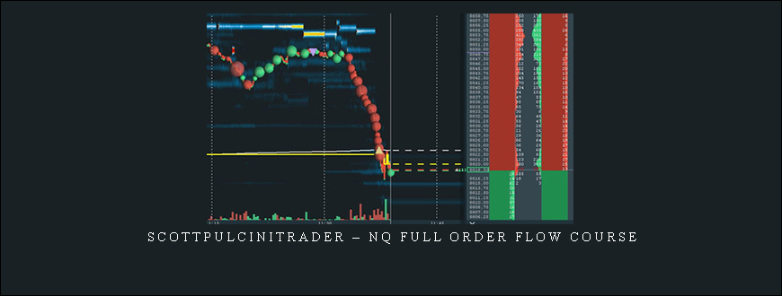 Scottpulcinitrader – NQ full order flow course