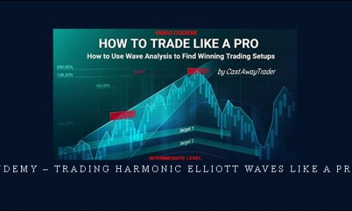 Udemy – Trading Harmonic Elliott Waves like a PRO