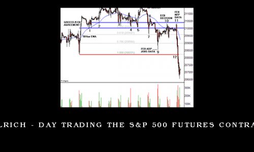 Arthur Ullrich – Day Trading The S&P 500 Futures Contract Manual
