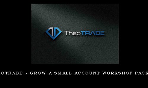 Theotrade – Grow a Small Account Workshop Package