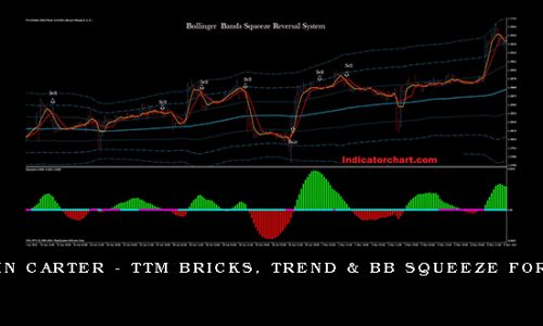 John Carter – TTM Bricks, Trend & BB Squeeze for TS