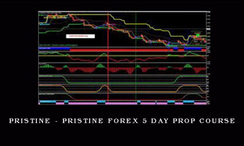 Pristine – Pristine Forex 5 Day Prop Course