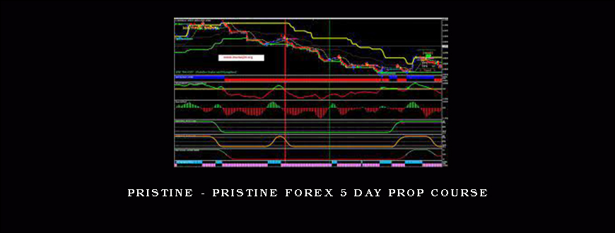 Pristine – Pristine Forex 5 Day Prop Course