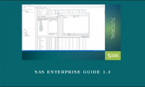SAS Enterprise Guide 1.3