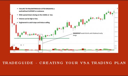 TradeGuide – Creating your VSA Trading Plan