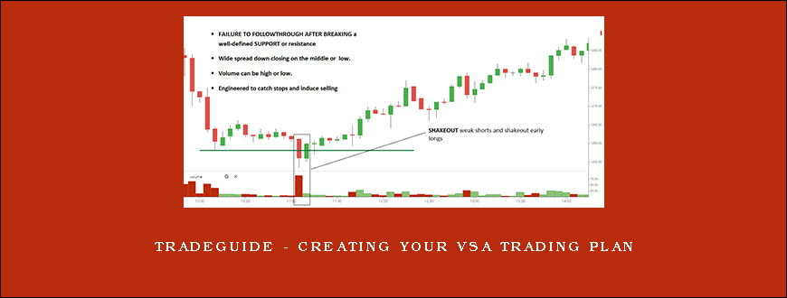 TradeGuide – Creating your VSA Trading Plan