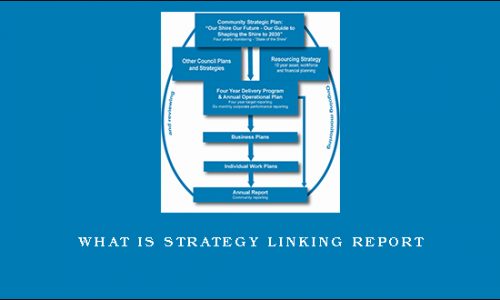 What is Strategy Linking Report