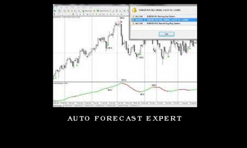 Auto Forecast Expert